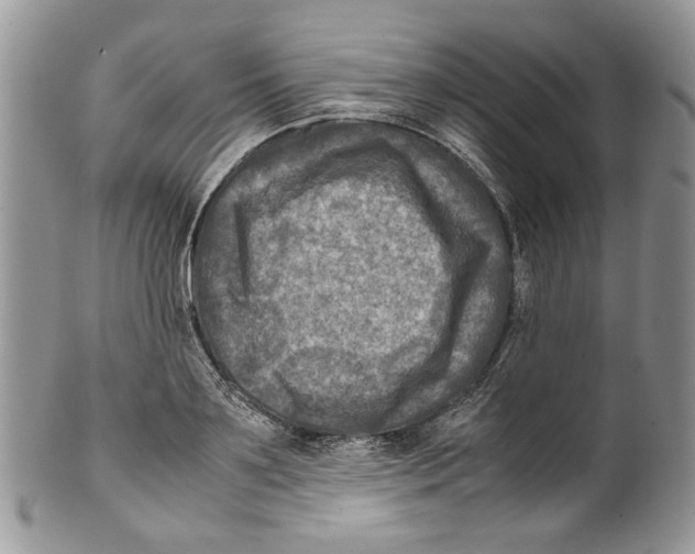 X0000099570891200806131254