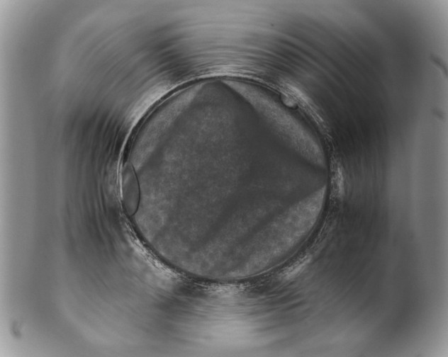 X0000099570892200806131254