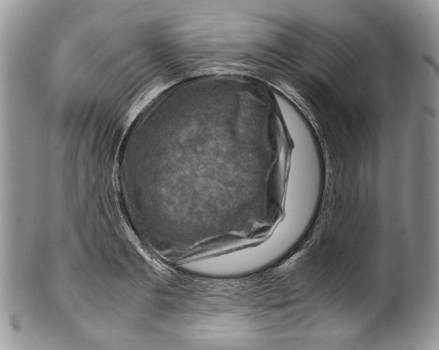 X0000099570893200806131254