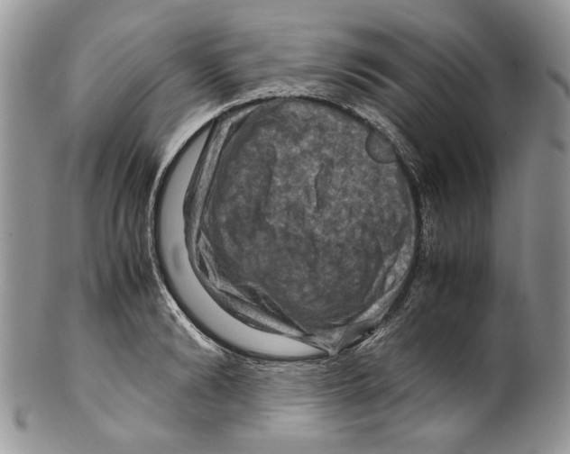X0000099570894200806131254
