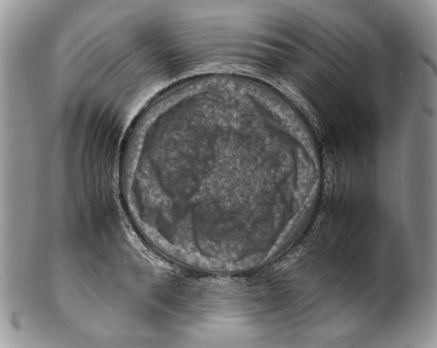X0000099570896200806131254