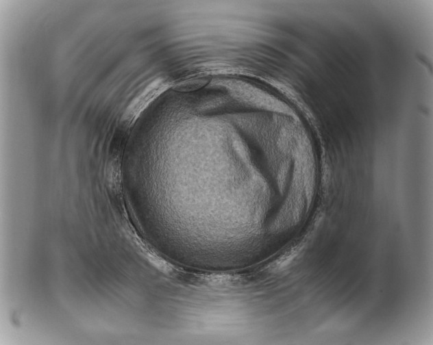 X0000099570897200806131254