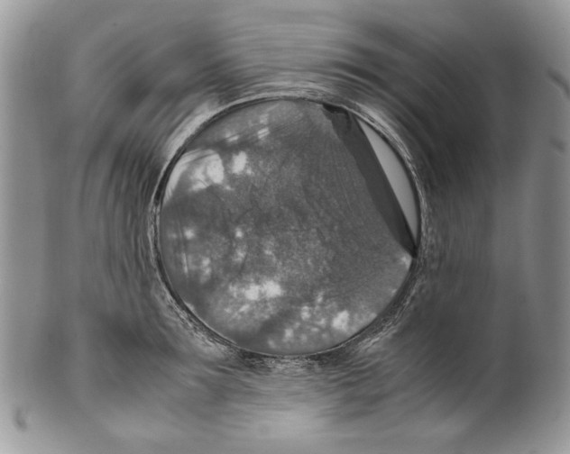X0000099570899200806131254