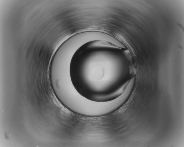 X0000099570900200806131254
