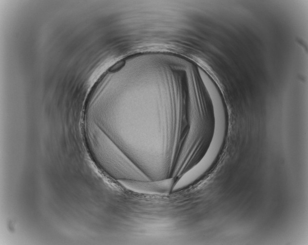 X0000099570901200806131254