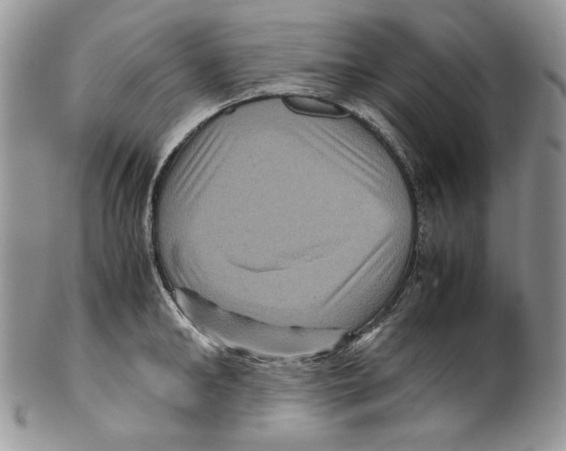 X0000099570902200806131254