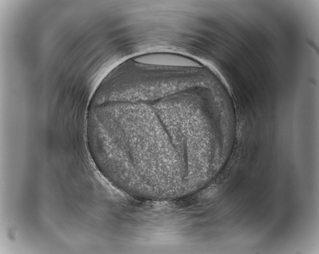 X0000099570903200806131254