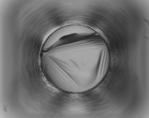 X0000099570904200806131254