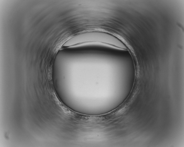 X0000099570905200806131254