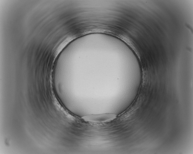 X0000099570906200806131254