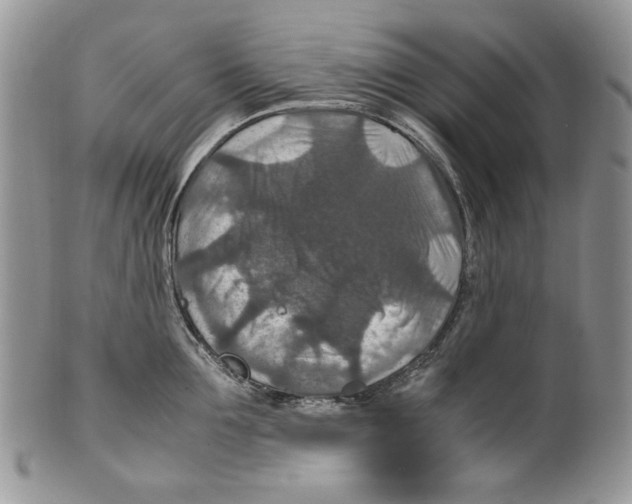 X0000099570907200806131254