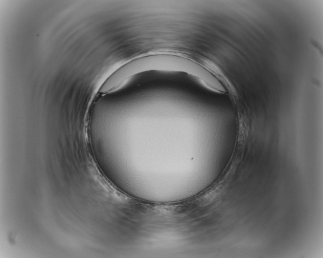 X0000099570908200806131253