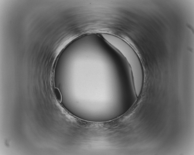 X0000099570909200806131253