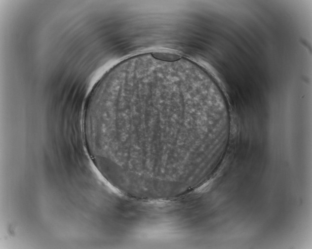 X0000099570910200806131253