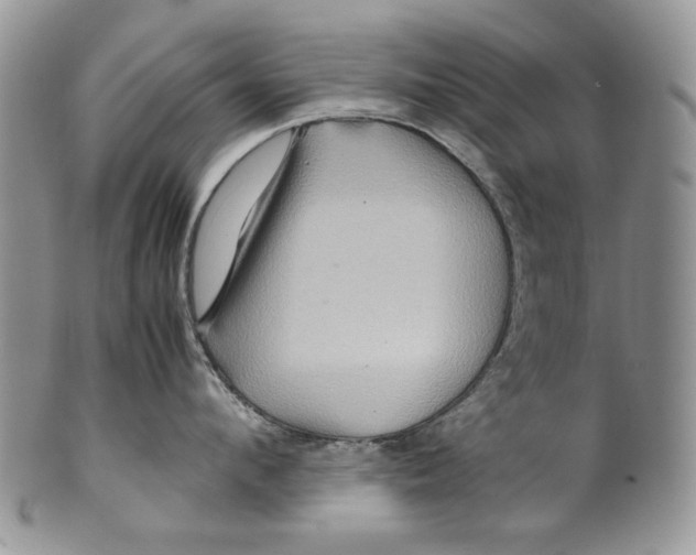 X0000099570912200806131253