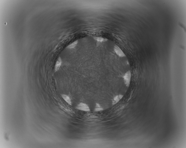X0000099570913200806131253