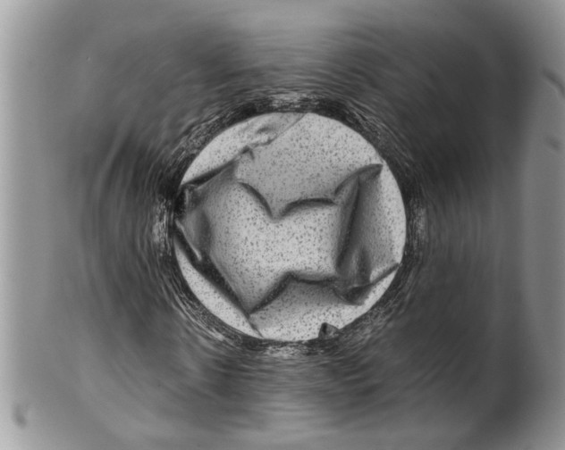 X0000099570914200806131253
