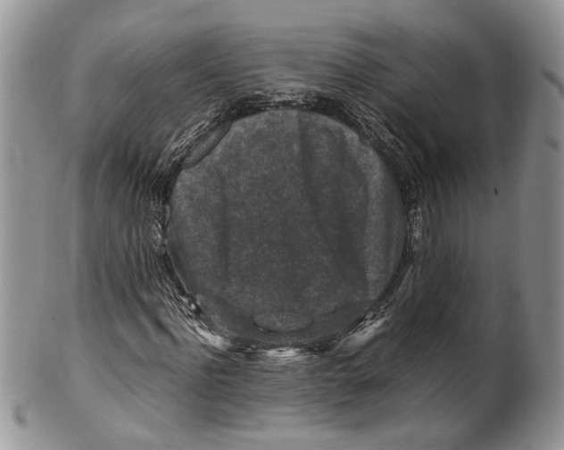 X0000099570916200806131253