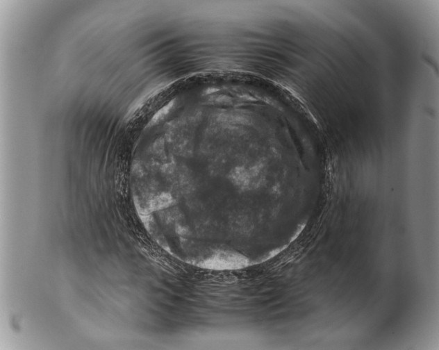X0000099570919200806131253