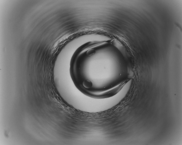 X0000099570920200806131253
