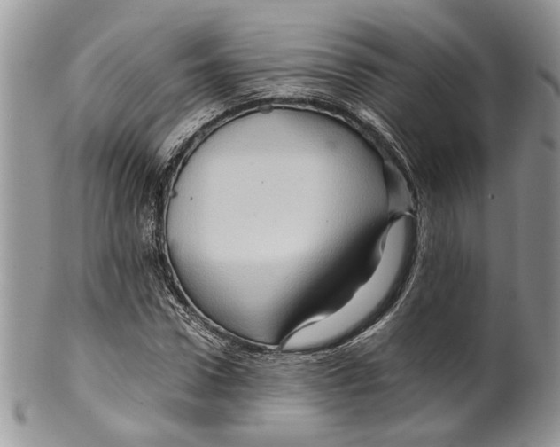 X0000099570922200806131253