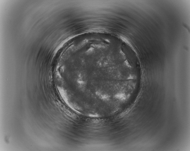 X0000099570923200806131253