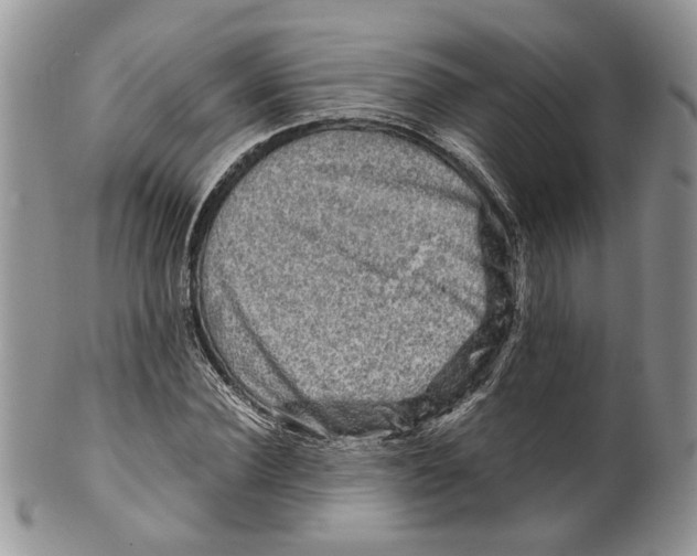 X0000099570924200806131253