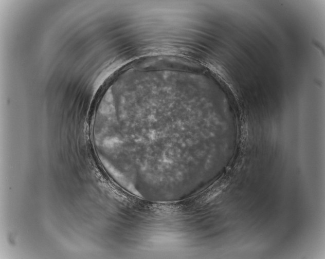 X0000099570928200806131253