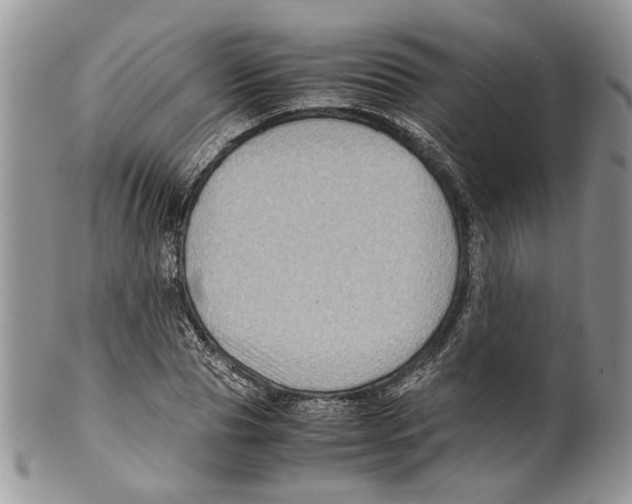 X0000099570929200806131253