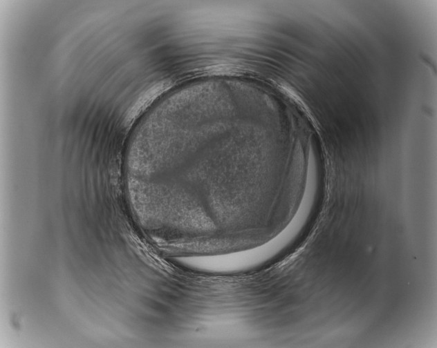 X0000099570930200806131253