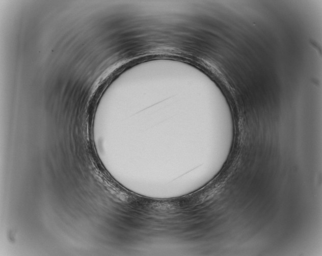 X0000099570931200806131253
