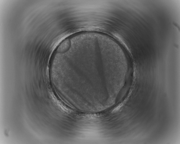 X0000099570932200806131253