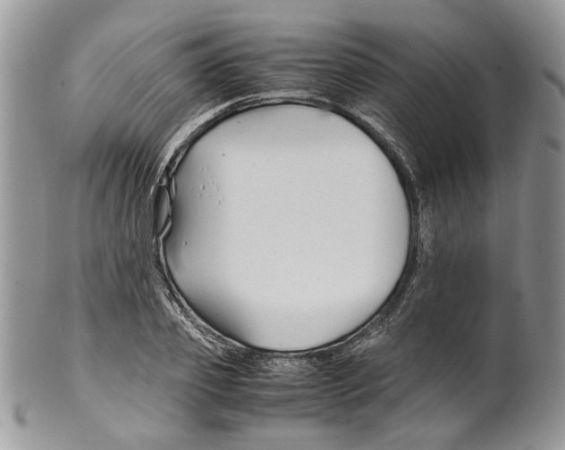 X0000099570933200806131253