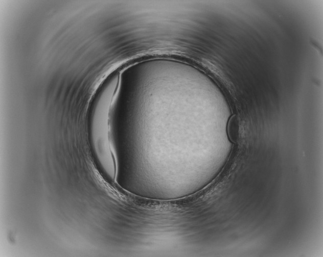X0000099570934200806131253
