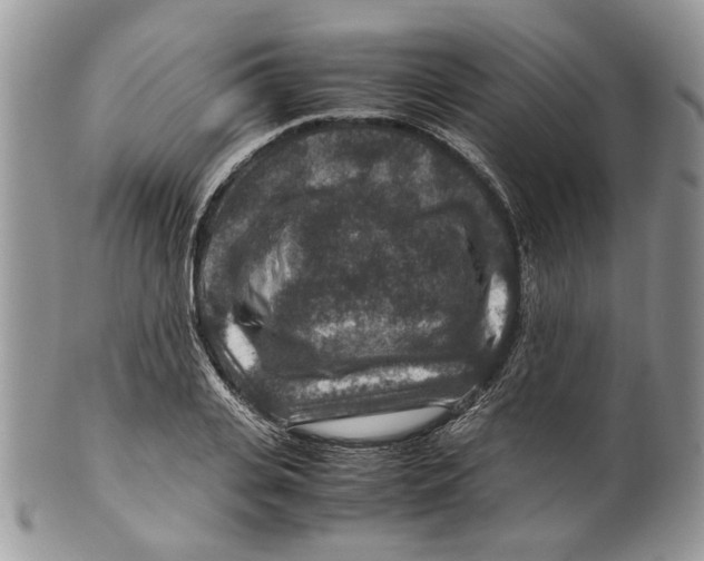 X0000099570935200806131253