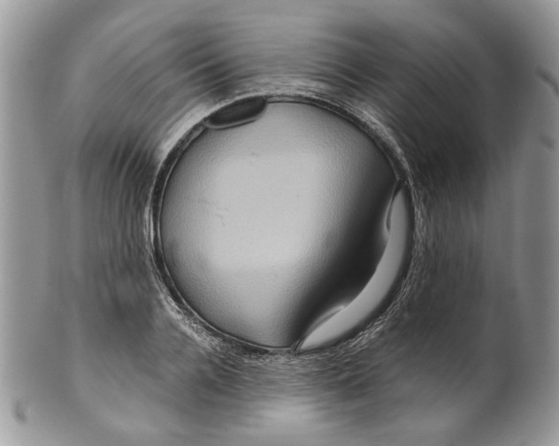 X0000099570936200806131253