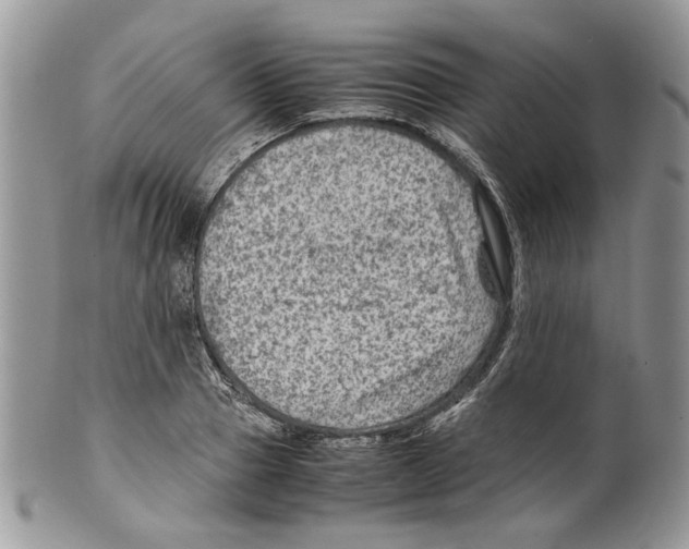 X0000099570937200806131253