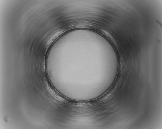 X0000099570938200806131253