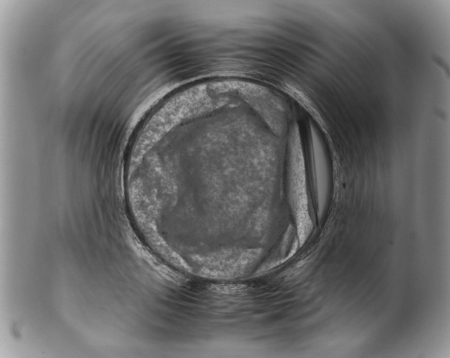 X0000099570939200806131253