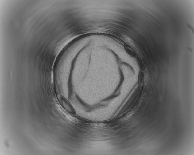X0000099570940200806131253
