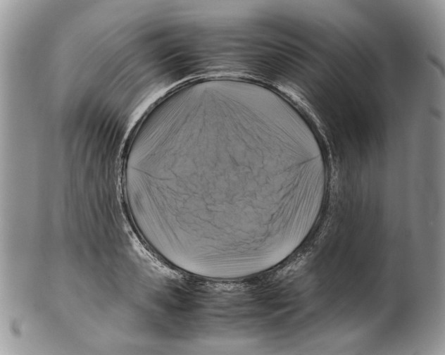 X0000099570941200806131253