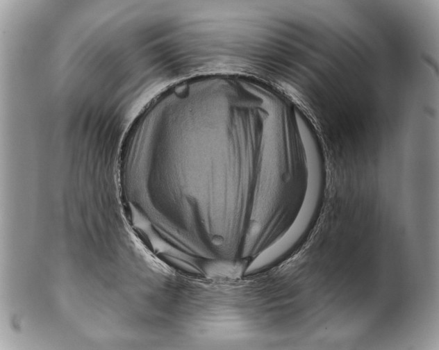 X0000099570942200806131253