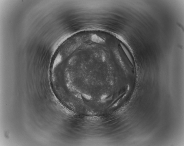 X0000099570943200806131253