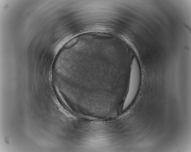 X0000099570944200806131253