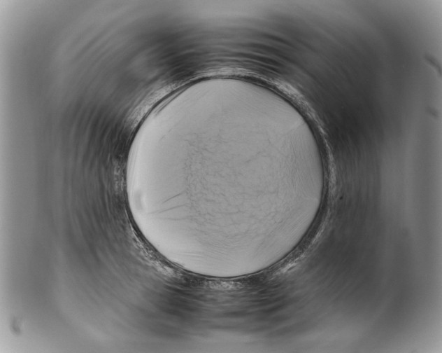 X0000099570945200806131253