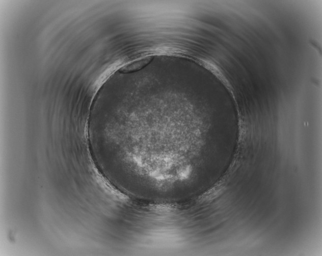 X0000099570946200806131253