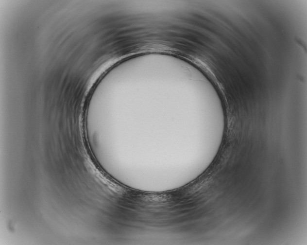 X0000099570947200806131253