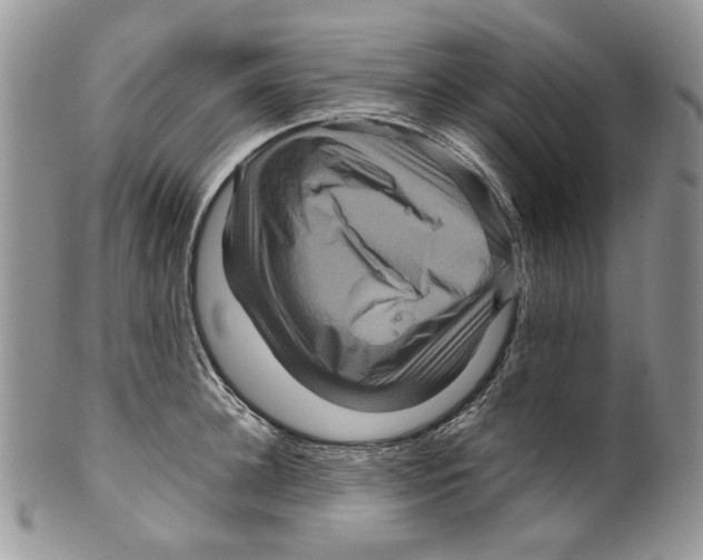 X0000099570948200806131253