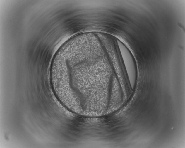 X0000099570949200806131253