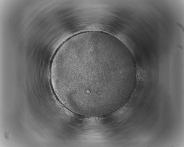 X0000099570950200806131253